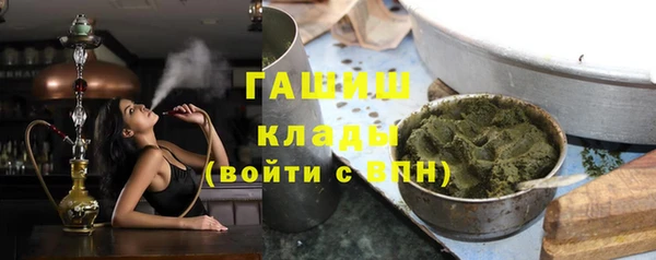 индика Алзамай