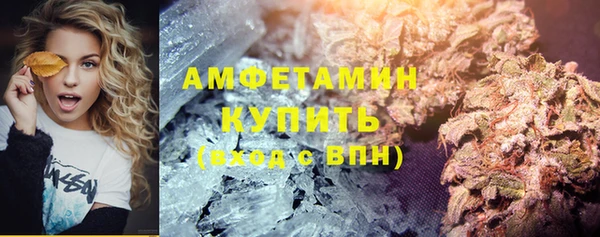 индика Алзамай