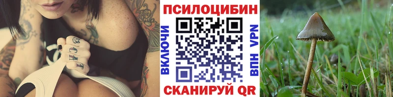 Галлюциногенные грибы Psilocybine cubensis  Клин 